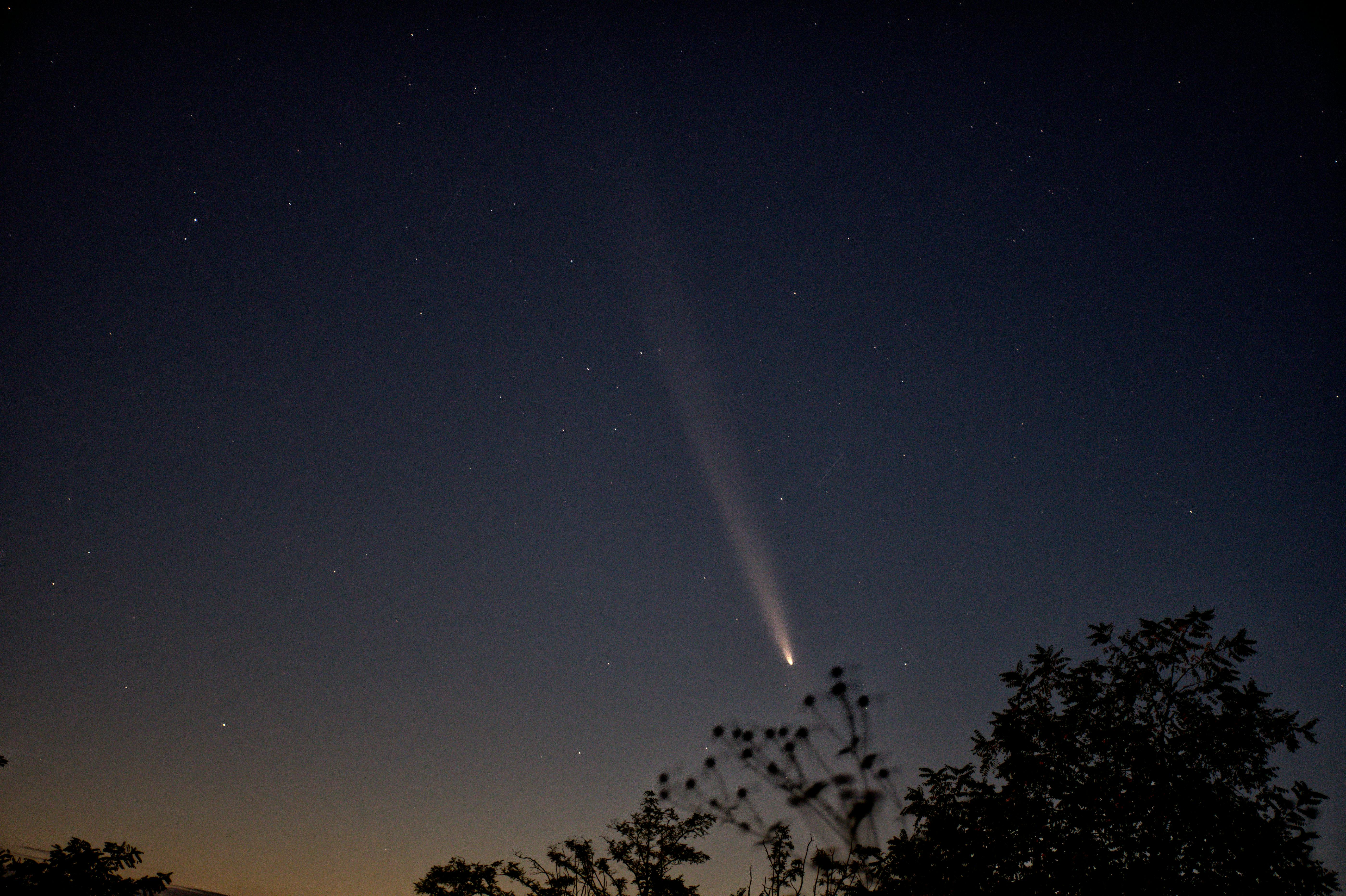 comète interstellaire observations