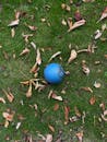 Blue Ball on Autumn Leaf-Covered Grass