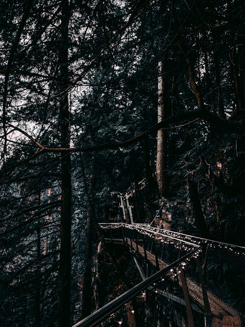 Bridge Along The Side Of Mountain