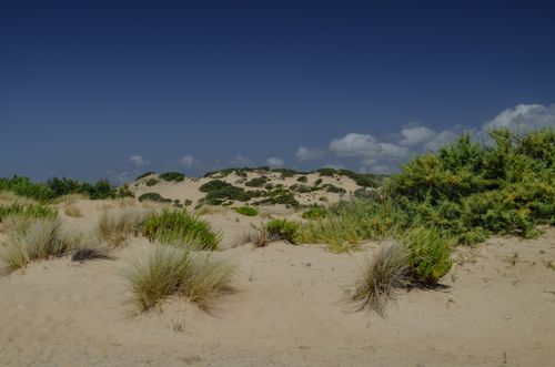 Free Explore the tranquil sand dunes of Sardinia under clear blue skies. Stock Photo