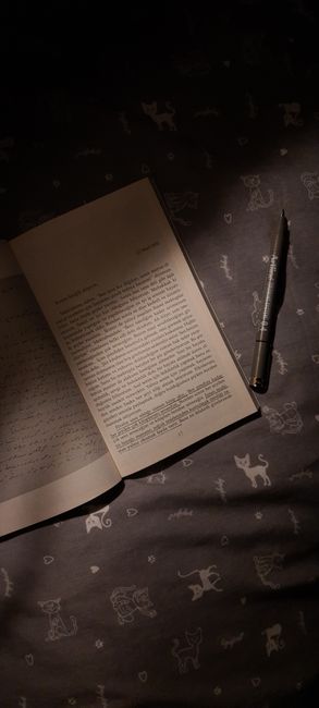 Como criar um diário de leitura que não pareça uma obrigação