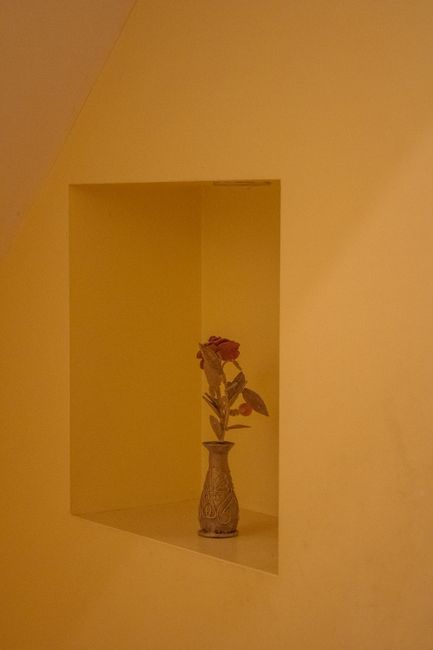 A delicate rose in an ornate vase showcased in a minimalist niche, adding warmth and elegance.