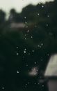 雨滴在窗户上勾勒出一片宁静而模糊的风景