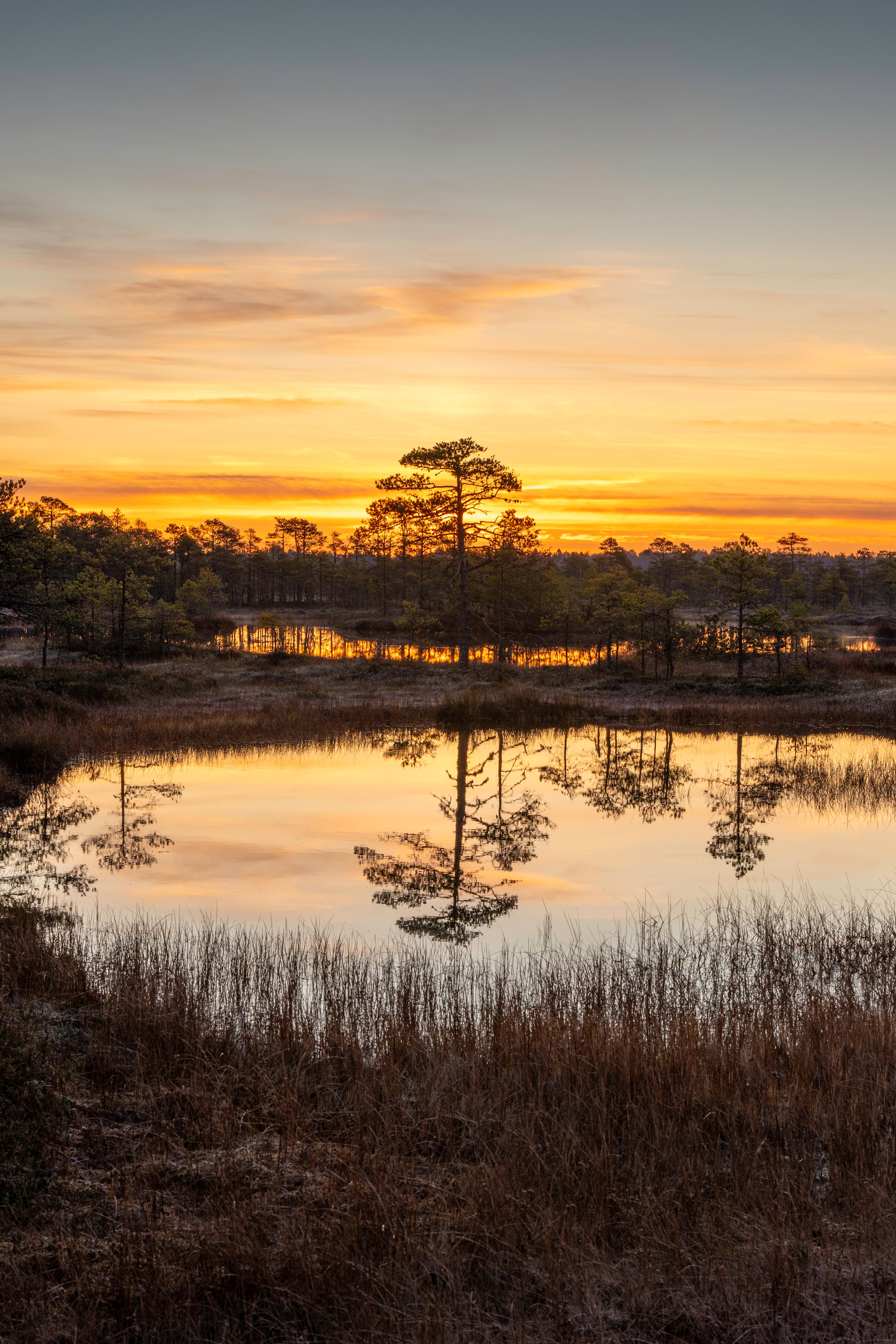 Peaceful sunset reflected on a calm lake surrounded by trees, creating a tranquil scene.
