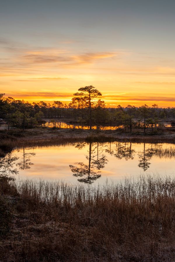Serene Sunset Over Tranquil Lake Reflections · Free Stock Photo