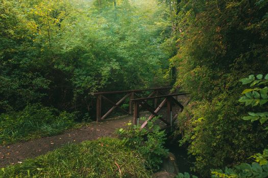 A peaceful scene of a wooden bridge surrounded by lush green foliage in a forest setting.