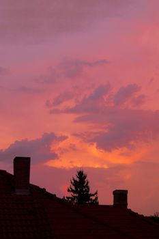 A colorful sunset sky with vibrant orange and pink hues over rooftops and a pine tree silhouette.