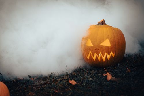 Free A carved jack-o'-lantern amidst dense fog, perfect for Halloween themes. Stock Photo