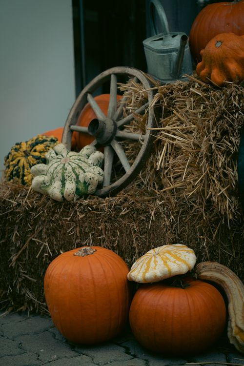 Free A cozy autumn scene featuring pumpkins, gourds, hay bales, and a wooden wheelbarrow. Stock Photo