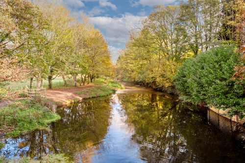 Free Tranquil autumn river in Suffolk with colorful leaves reflecting on the water's surface. Stock Photo