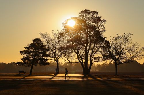 Free A solitary runner enjoys a tranquil morning jog in Cove Island Park, Stamford, Connecticut at sunrise. Stock Photo