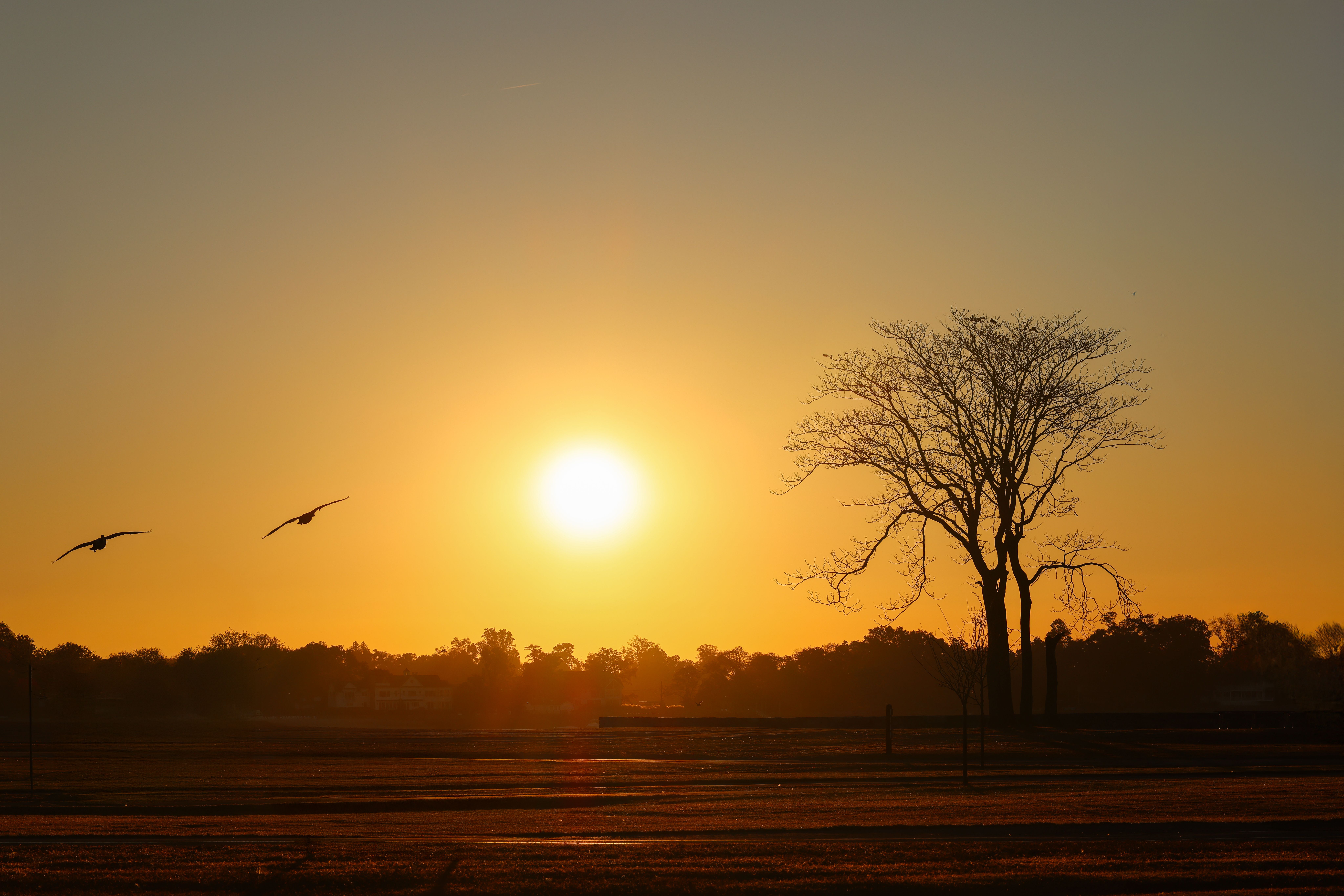 4 Day Open Your Creative Frequency: in New Orleans 2
