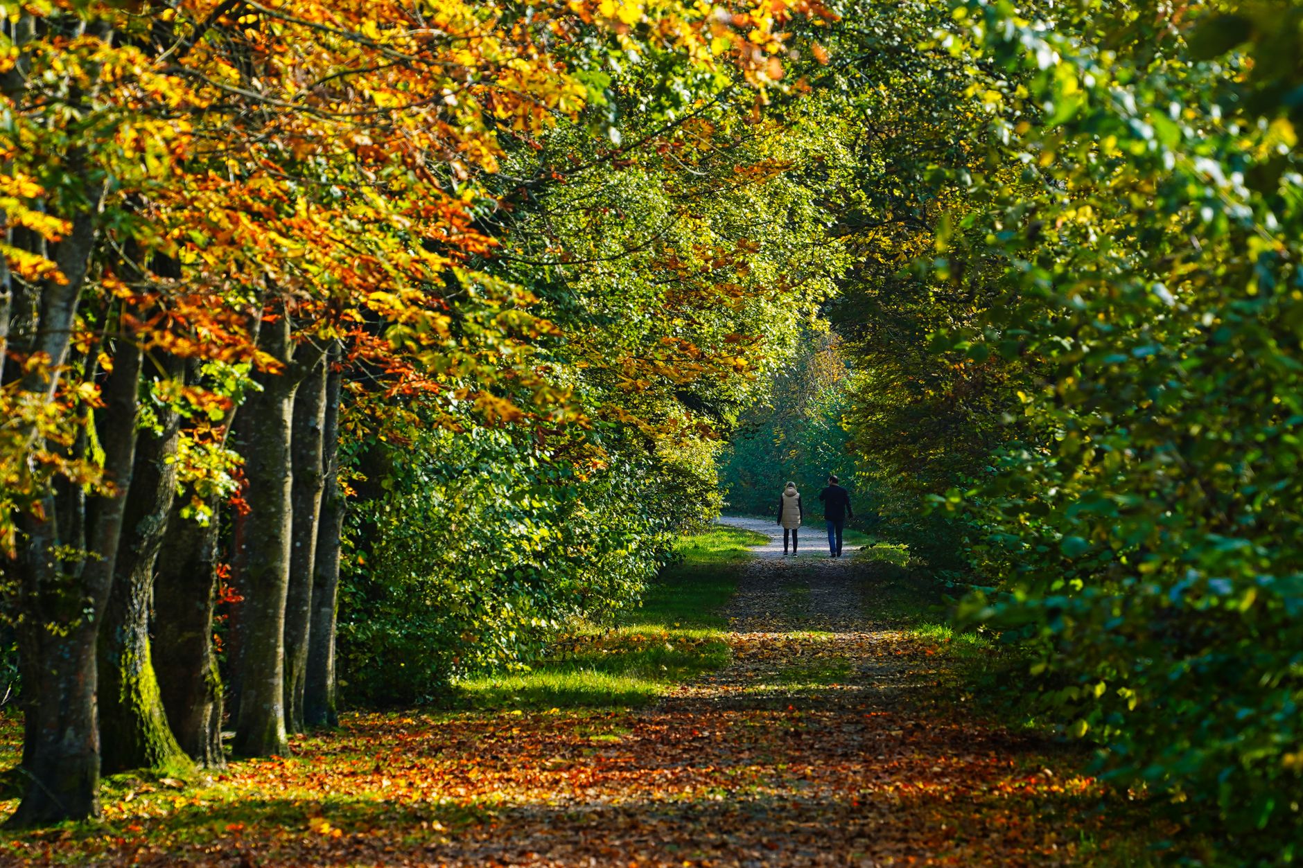 Der gemeinsame Sonntagsspaziergang