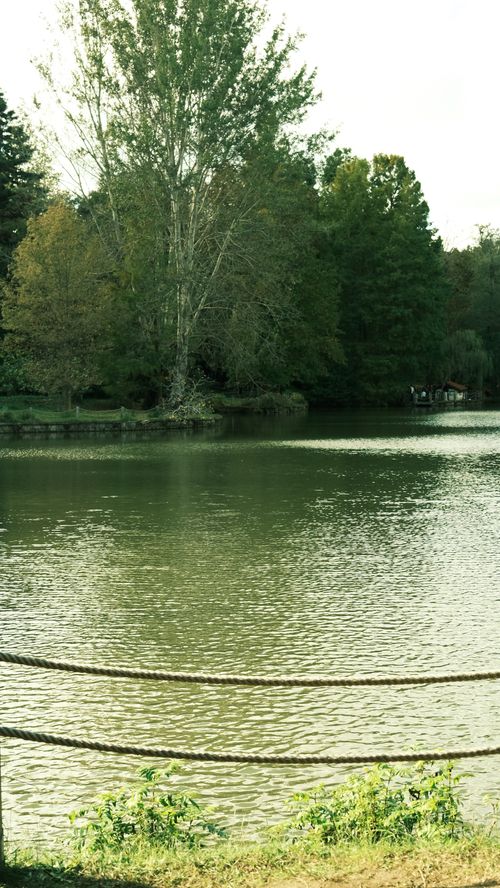 Free A peaceful lake surrounded by lush trees, showcasing serene nature in autumn. Stock Photo