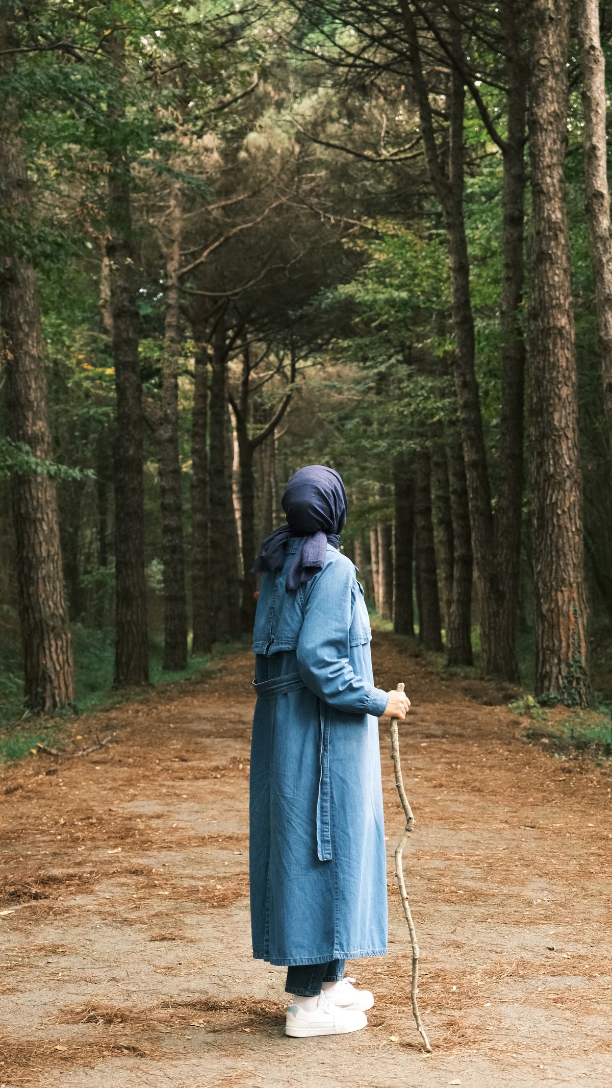 Calm outdoor path for mindful walking