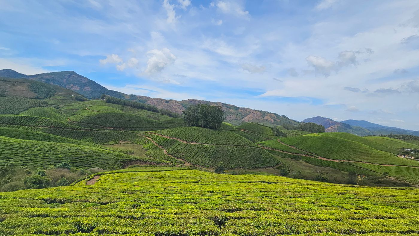 Tea slopes and mountain ridges under an open sky — Munnar, representative image