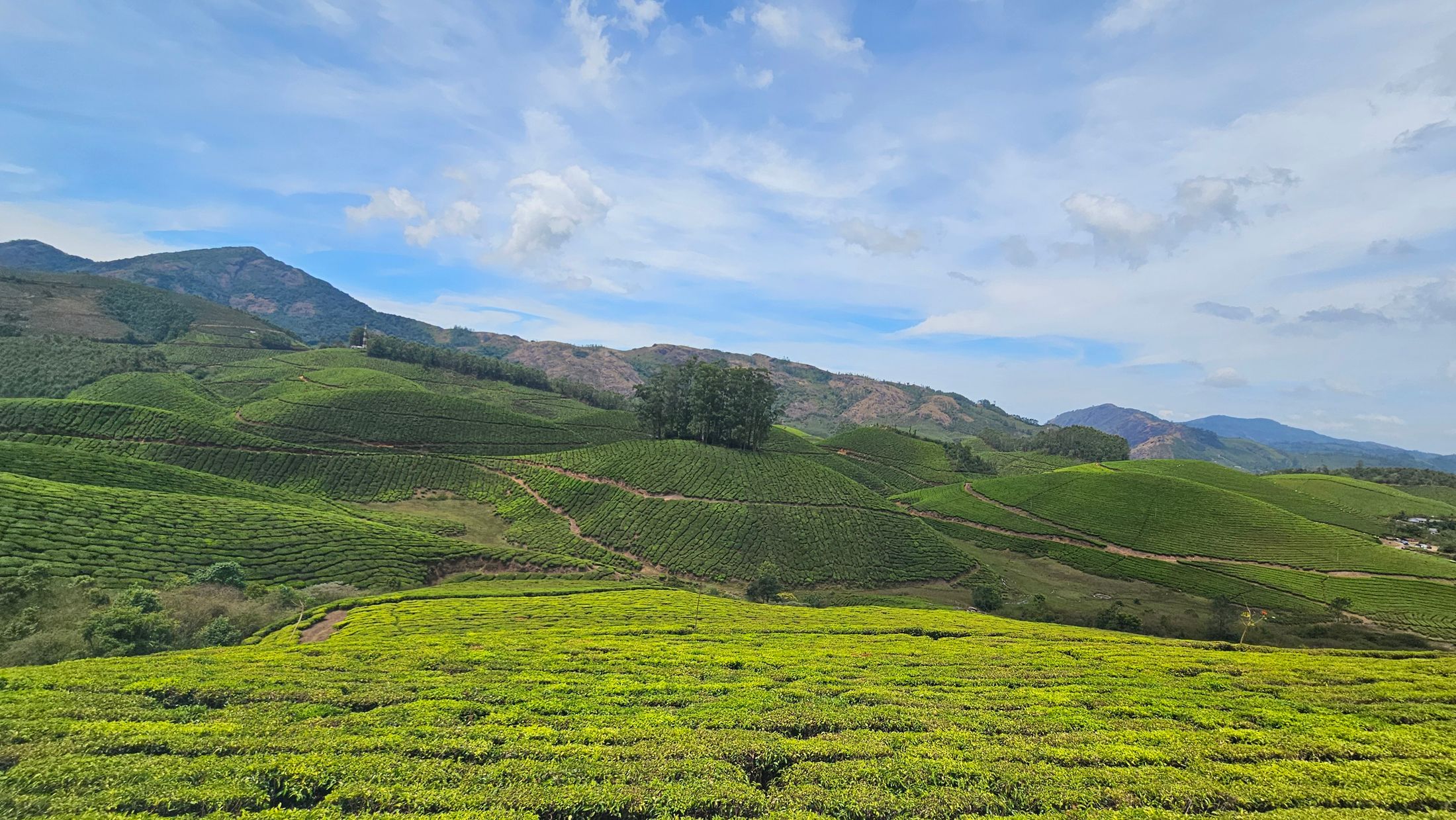 Kerala mountain and nature landscape