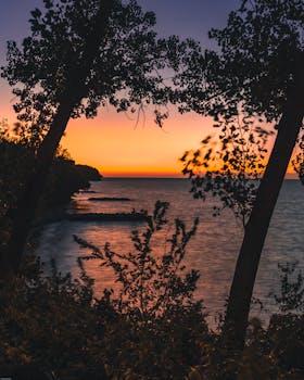 树木的轮廓勾勒出充满活力的日落，映衬着宁静的湖泊，是自然主题的理想选择