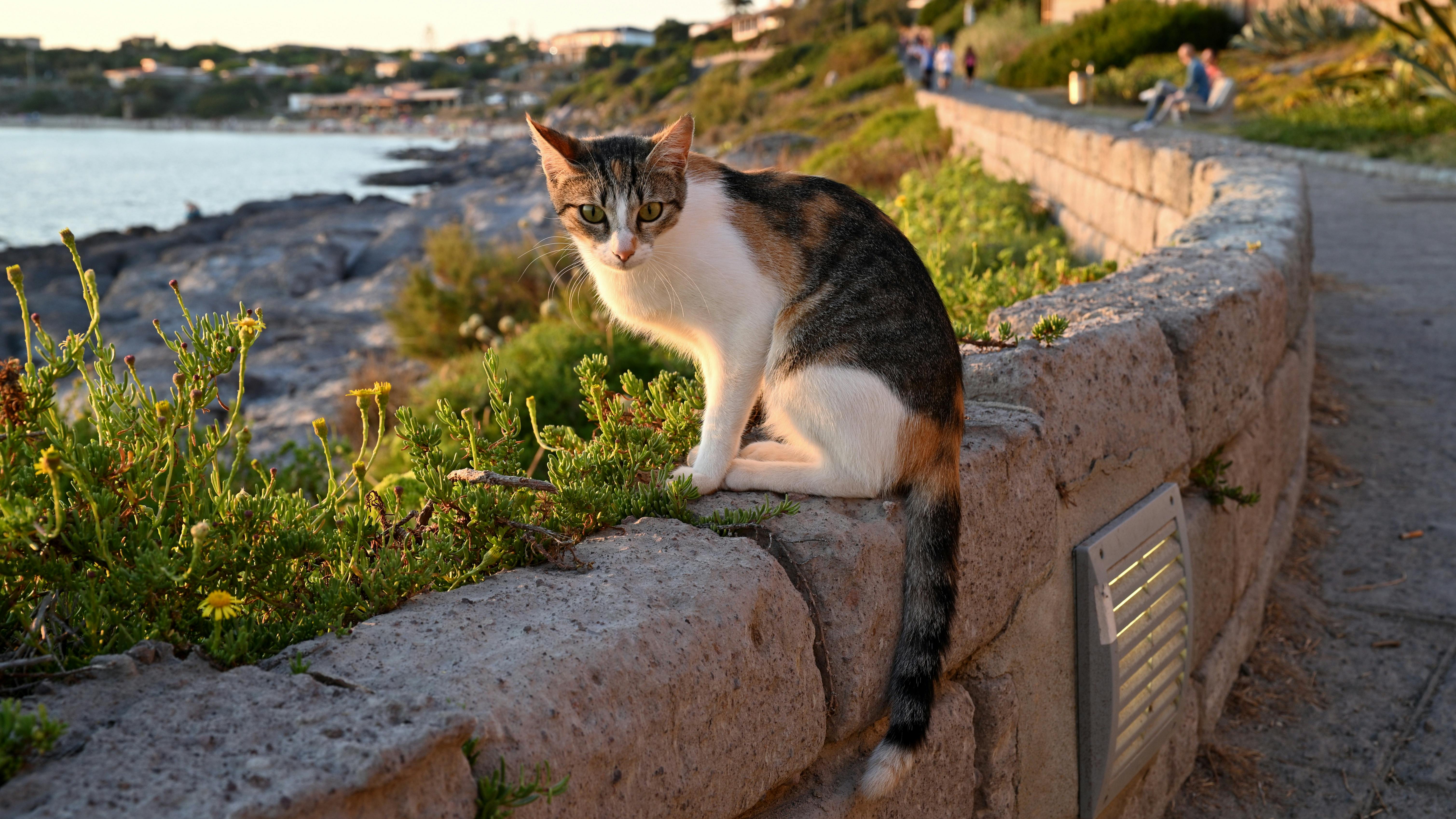 Spokój w miejscach publicznych - Ilustracja do artykułu