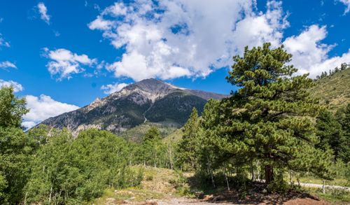 Free Stunning mountain view with lush greenery and blue skies, perfect for nature lovers. Stock Photo