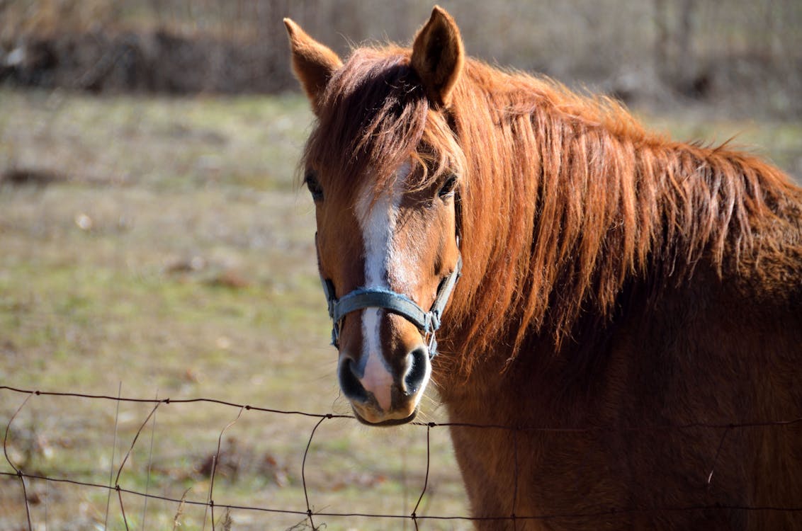 太空人如何在國際太空站慶祝節日?2025年太空生活深度剖析與未來趨勢 太空人如何在國際太空站慶祝節日?2025年太空生活深度剖析與未來趨勢
