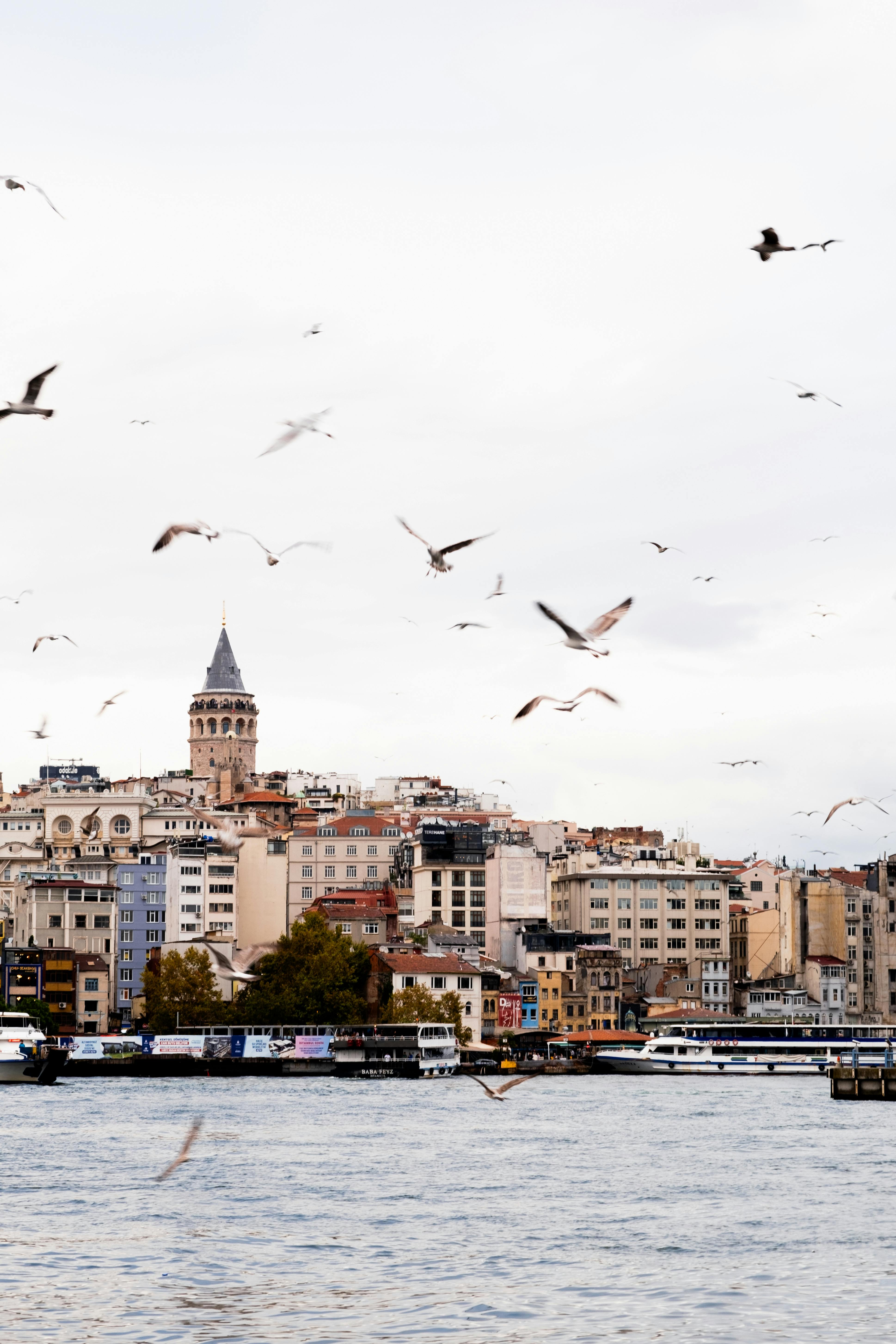 Gratuit Photos gratuites de architecture, architecture turque, asie occidentale Photos