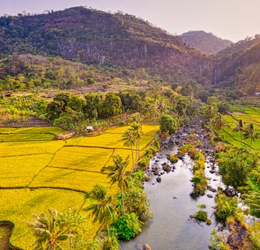 日落时分，鸟瞰印度尼西亚西爪哇，风景如画的稻田与蜿蜒的河流尽收眼底