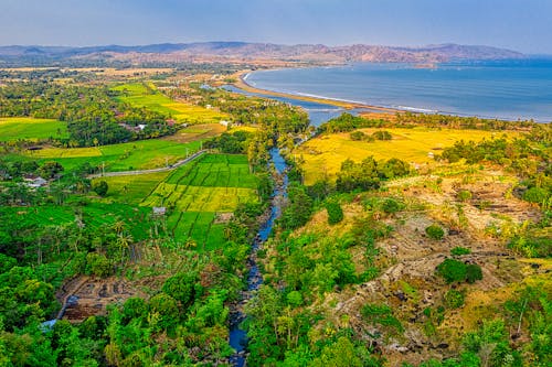 Ağaçlar Ve Tarlaların Havadan Fotoğrafı