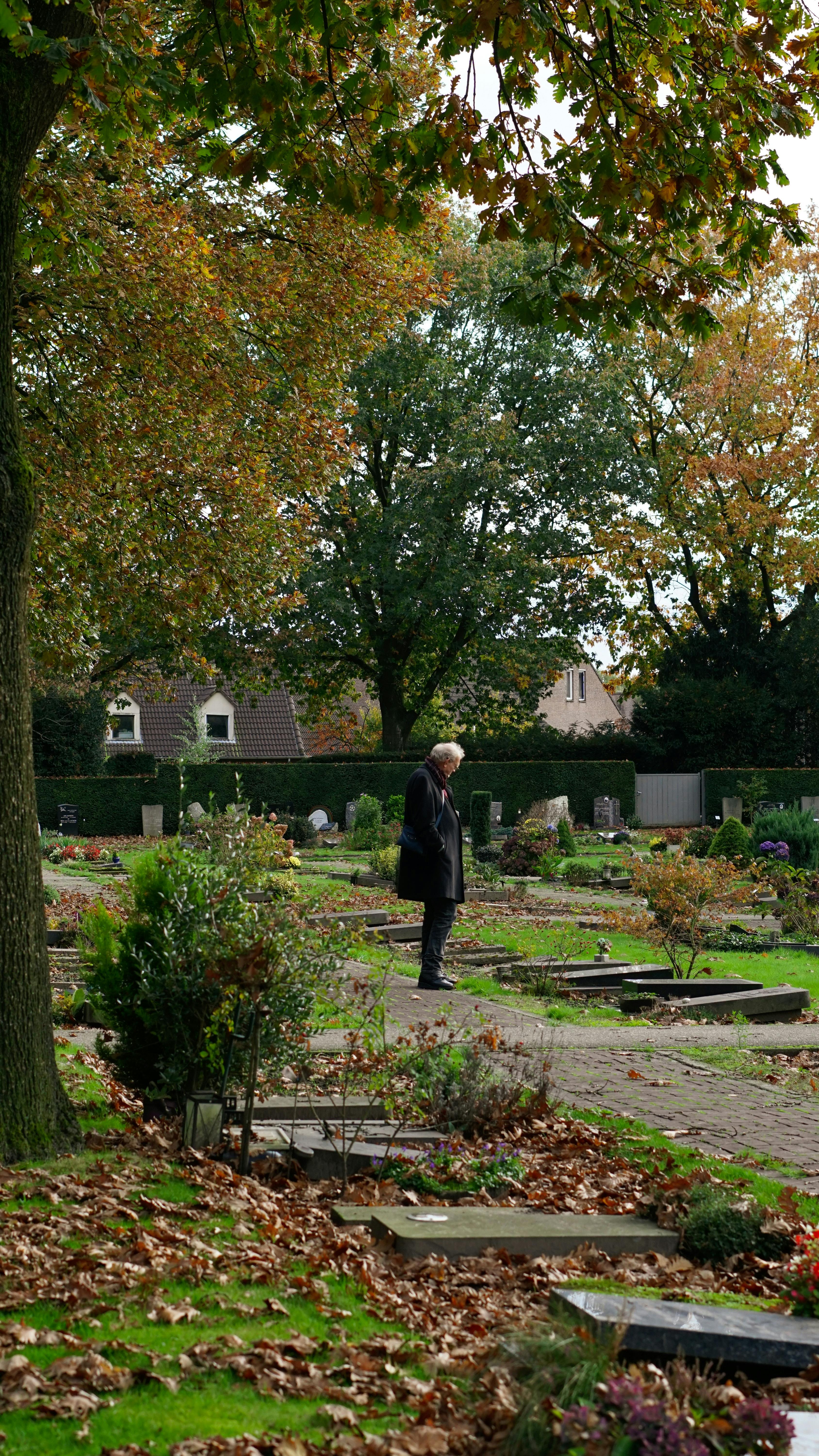 An elderly man walks quietly through a cemetery, surrounded by autumn trees and fallen leaves.