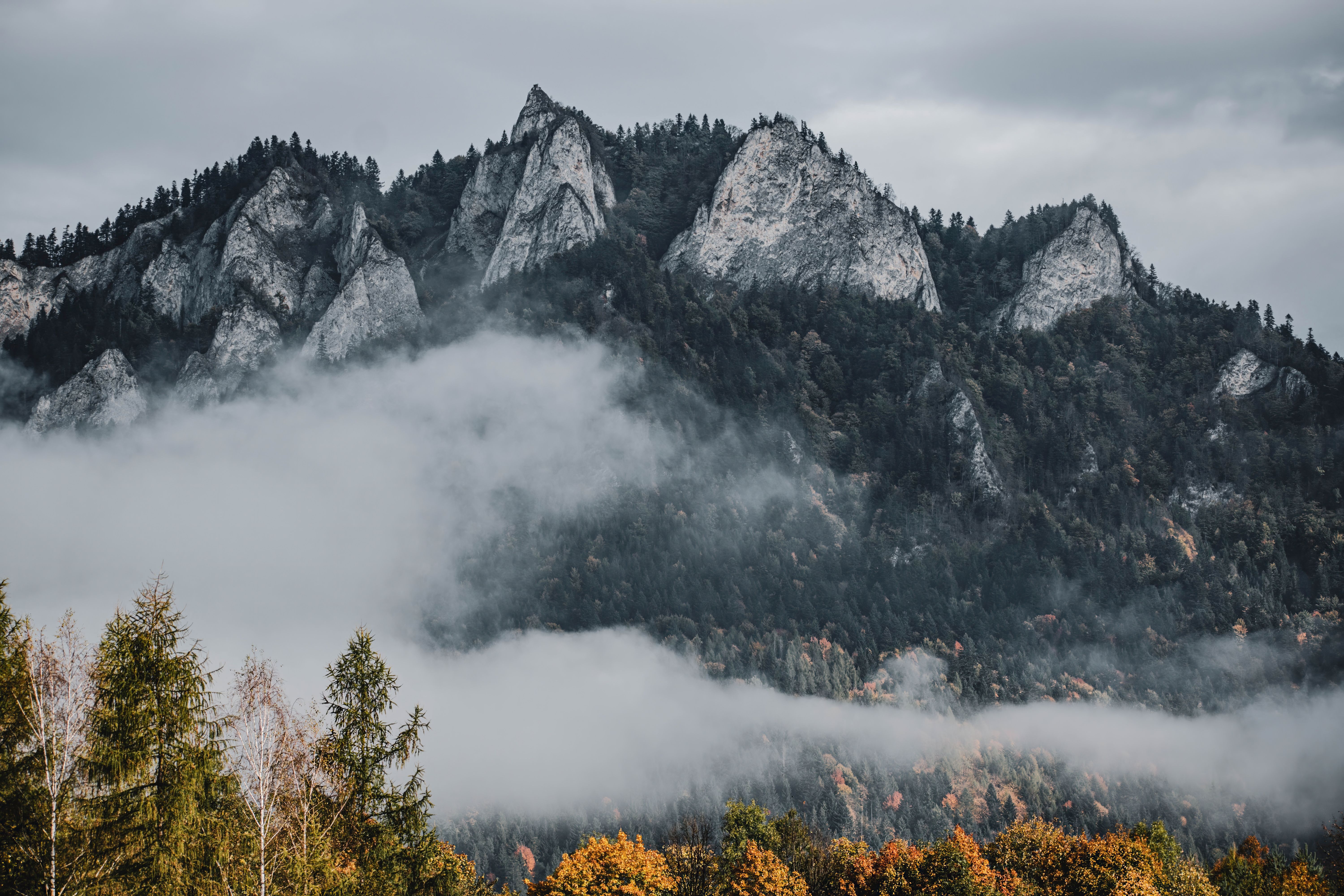 Breathtaking Autumn Landscape in Styria, Austria · Free Stock Photo