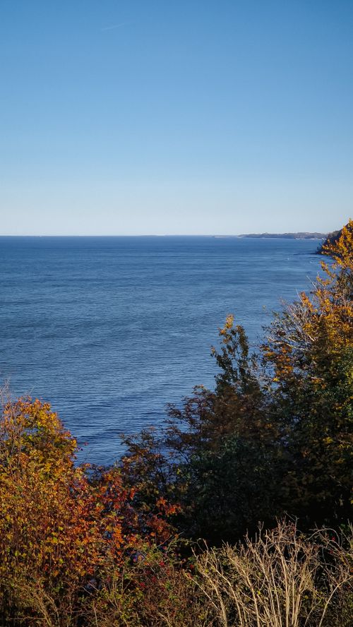 Free Beautiful coastal landscape with vibrant autumn trees and clear blue sea under a sunny sky. Stock Photo