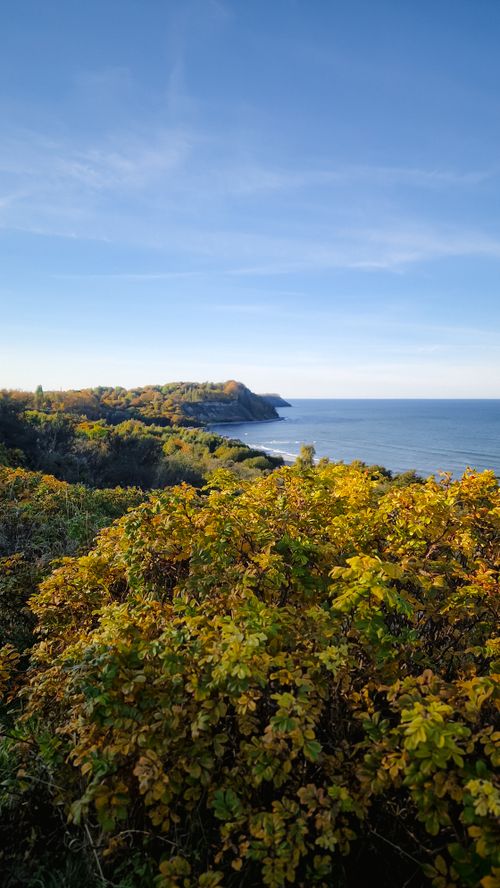Free Beautiful seaside landscape with lush autumn foliage on coastline under a clear sky. Stock Photo