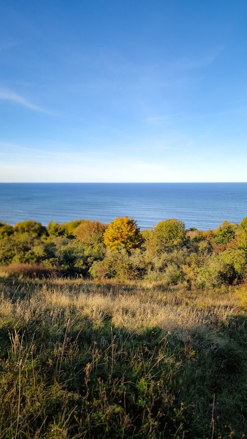 Free Serene autumn coastal view with vibrant foliage and calm blue sea under a clear sky. Stock Photo