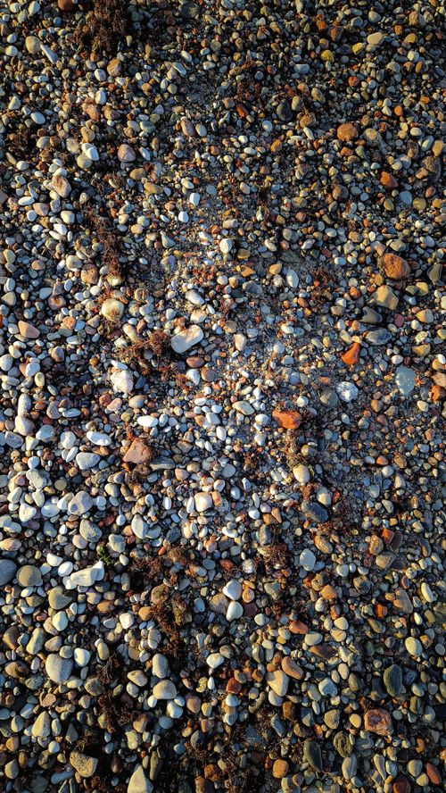 Free Close-up of a colorful pebble beach with diverse textures highlighting natural beauty. Stock Photo