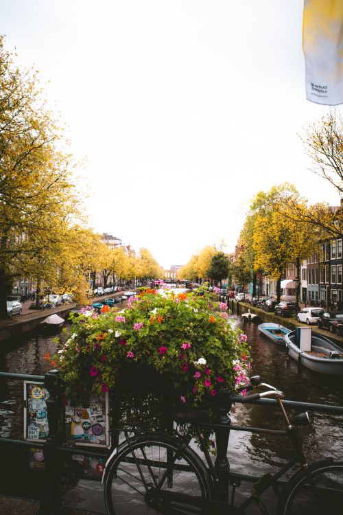 Free View of Amsterdam canal with flowers and boats on an autumn day. Stock Photo