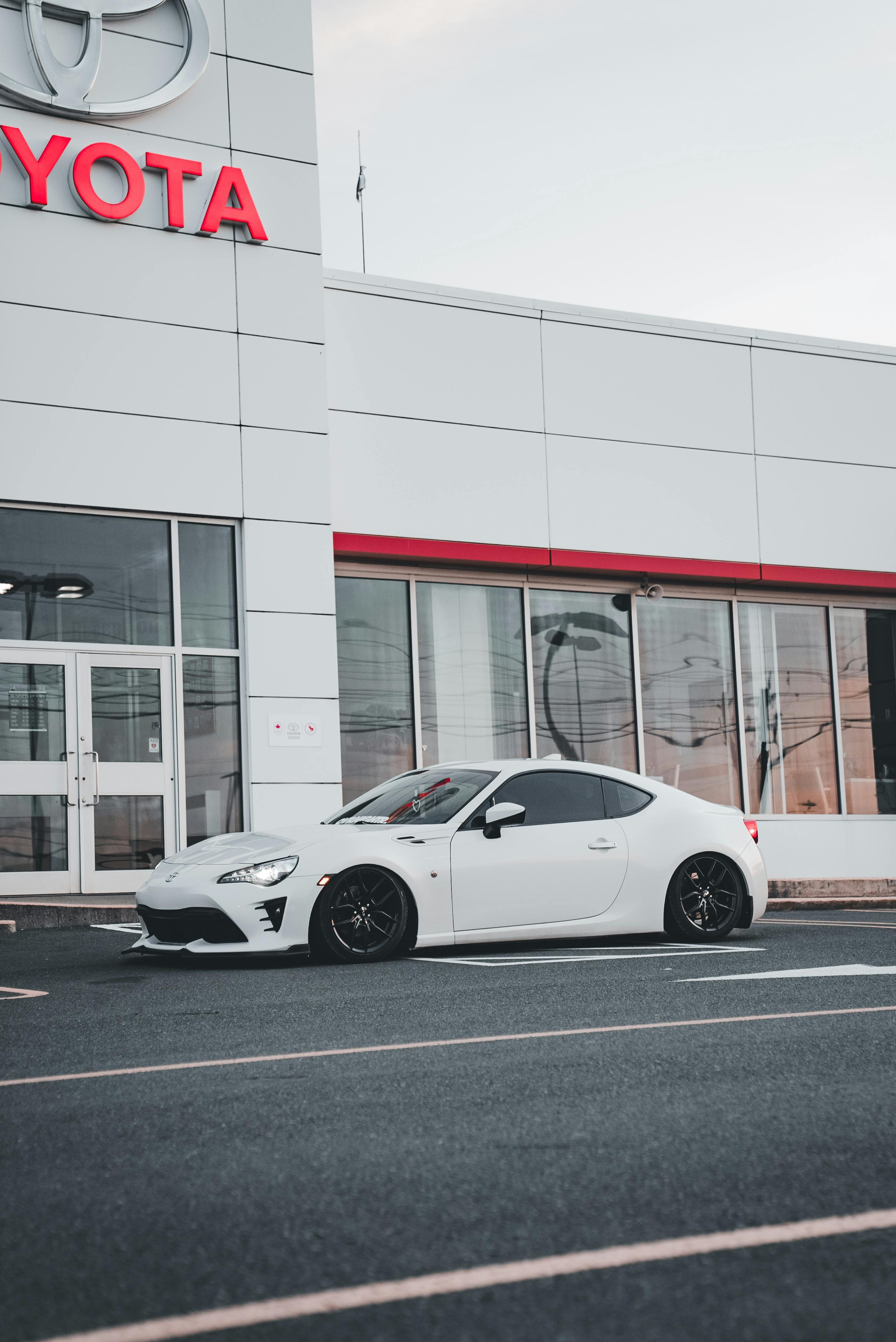 digital dashboard showing real-time customer loyalty program performance metrics