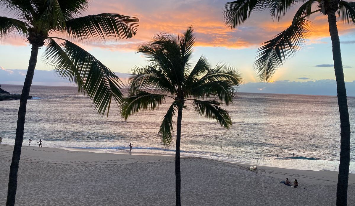 Tropical beach sunset with palm trees in Hawaii