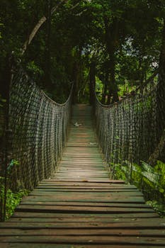Discover the adventurous charm of a wooden suspension bridge in a lush tropical Nicaraguan forest.