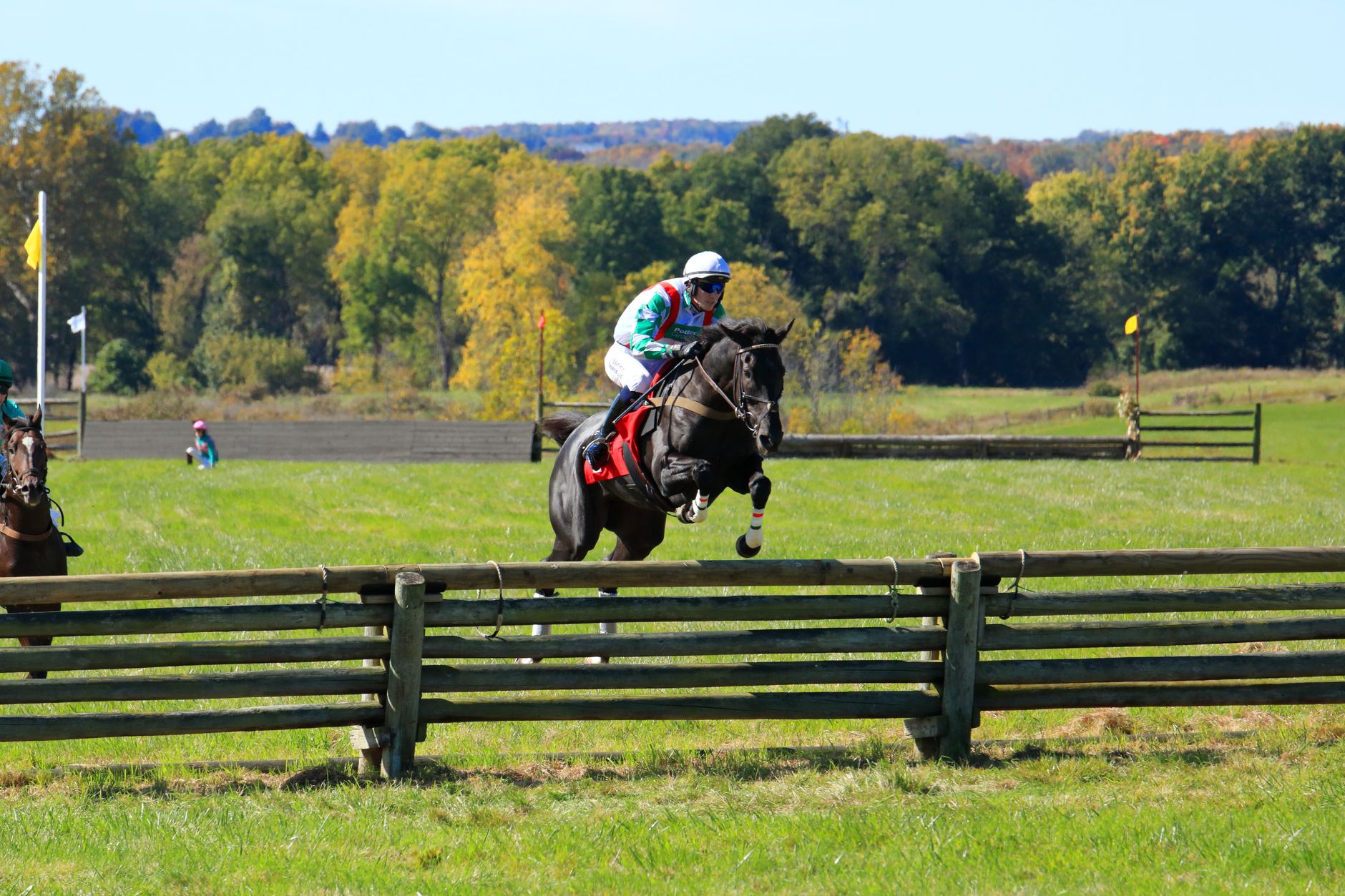 York Knavesmire hipodromunda at yarışı