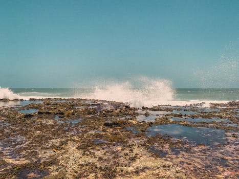 Captivating view of ocean waves splashing against rocky shores at Barra do Cunhaú, Brazil.