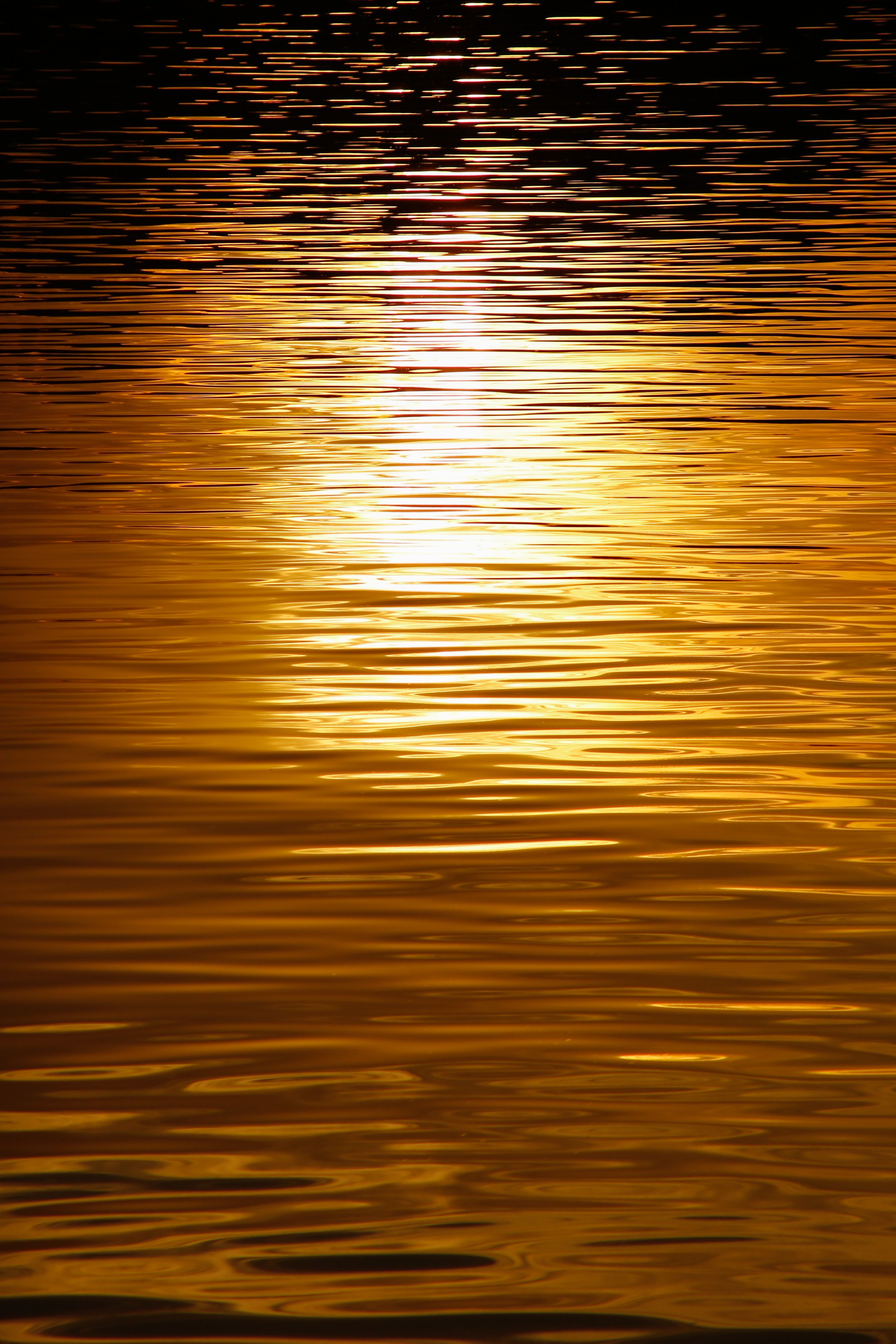 Golden Sunset Reflection on Calm Water · Free Stock Photo