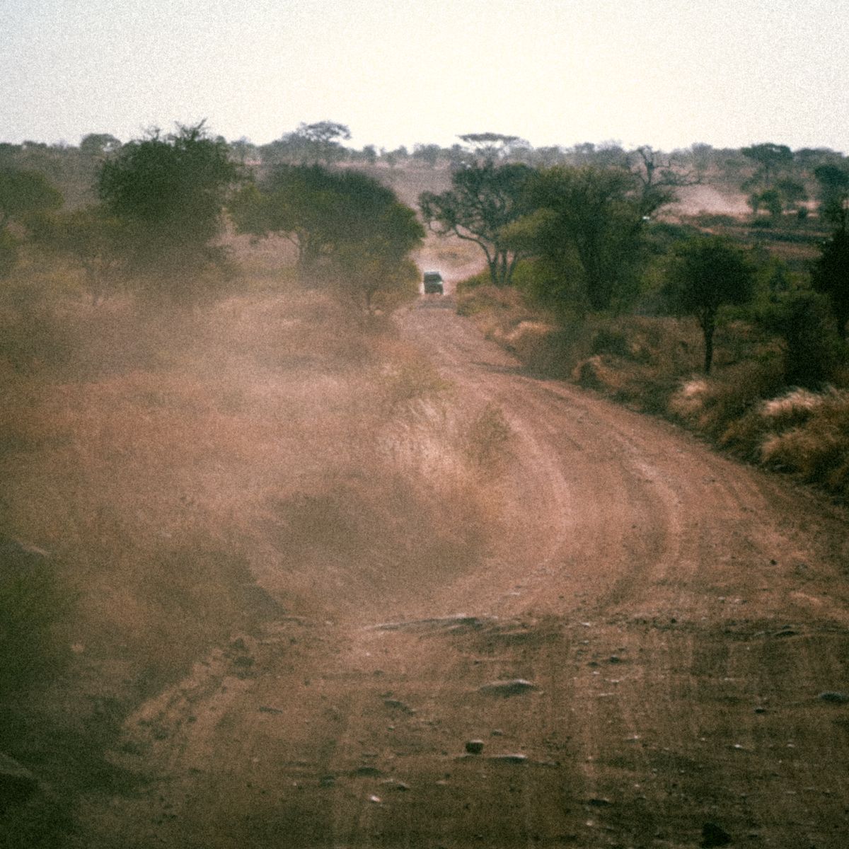 Driving in Mozambique: Road Conditions, 4x4 Guide & Safety Tips