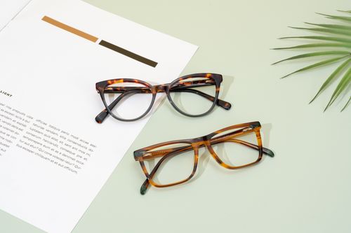 Free Trendy tortoise shell glasses displayed on a minimal layout with palm leaf accent. Stock Photo