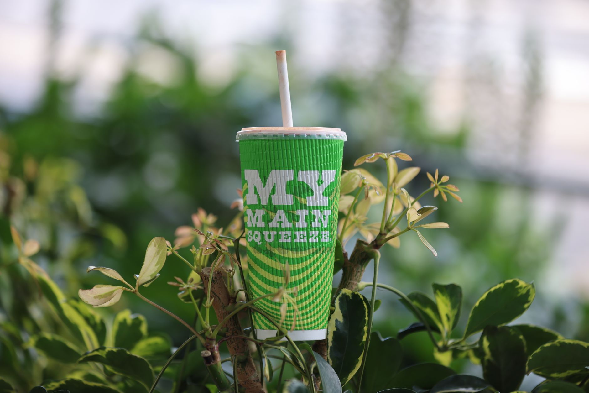 Dutch Bros (BROS) Surpasses TD Cowen’s $73 Price Target