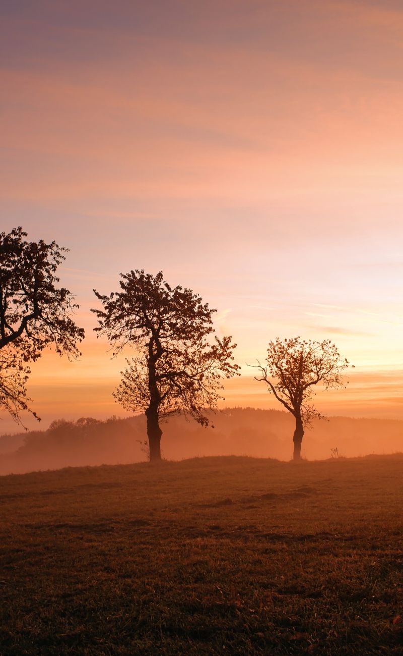 Earthing/Grounding for Better Sleep: The Science of SleepMaxx Through Natural Electrical Connection (2026)