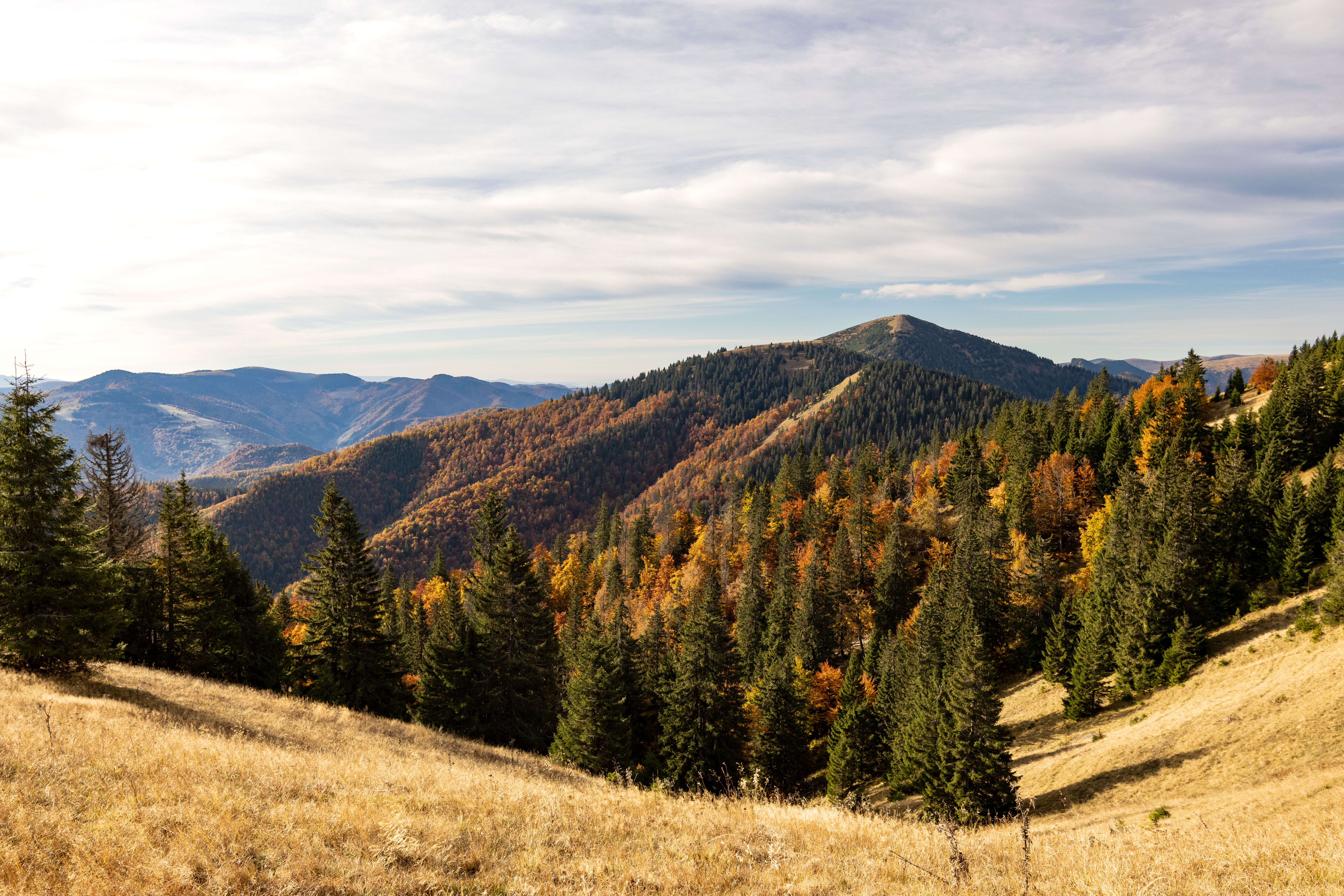 Scenic Mountain Landscape with Autumn Colors · Free Stock Photo