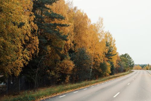 Free Beautiful autumnal colors line a quiet highway in Axamo, Jönköping, Sweden. Stock Photo