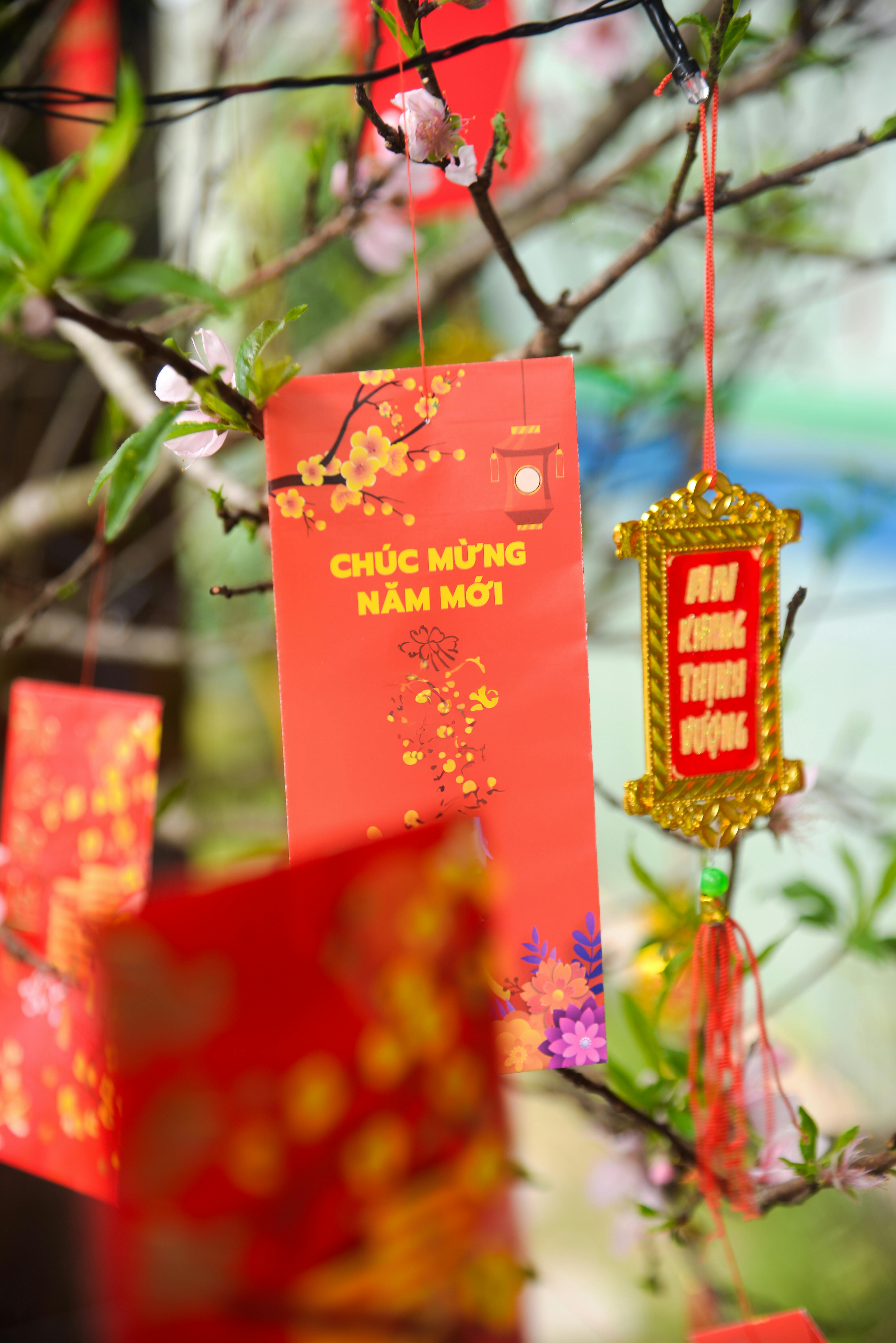 春節彩券加碼衝12億元創新高！🎉💰
