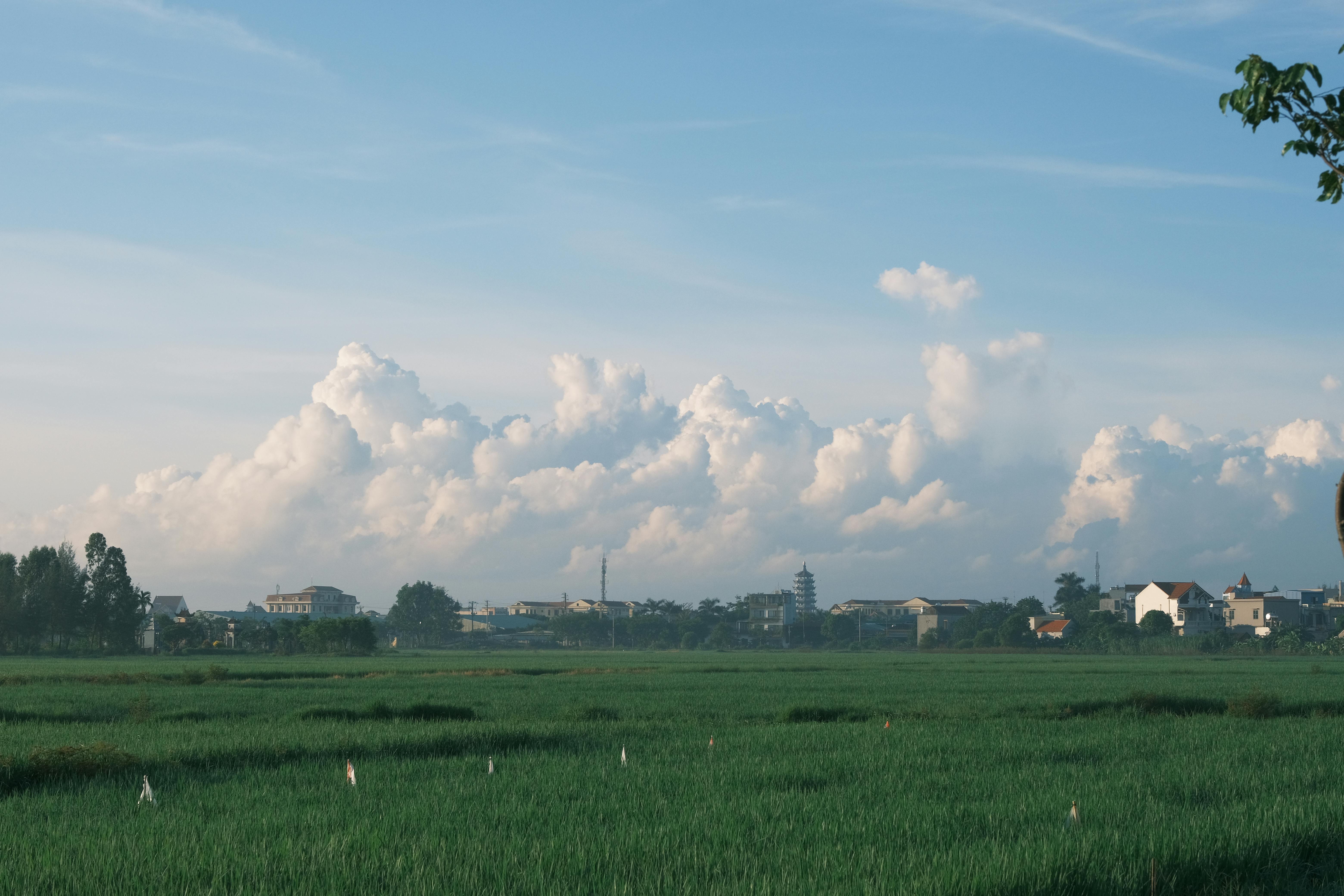 Miễn phí Cảnh Quan Nông Thôn Tuyệt đẹp ở Nam định, Việt Nam Ảnh lưu trữ