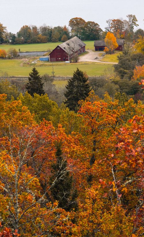 Free Scenic view of a Swedish countryside with vibrant fall foliage in Jönköping. Stock Photo